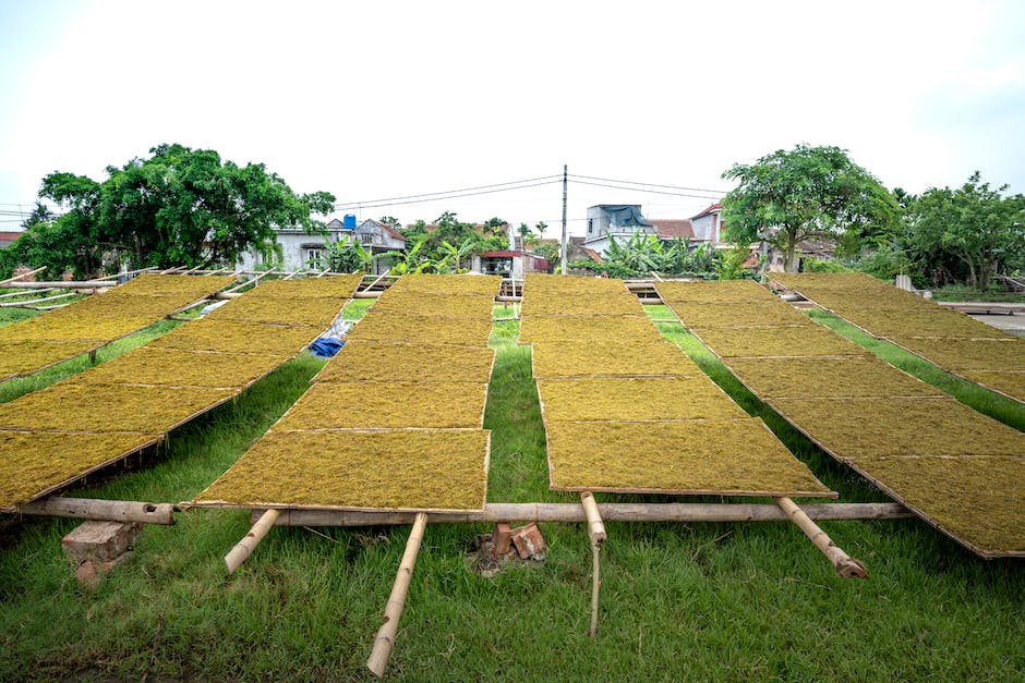  Landwirtschaftliche Nutzflächen bauen - Gebäude Einrichtungen und Nutzungen erlaubt