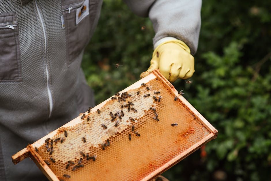 Bienennestverhinderung